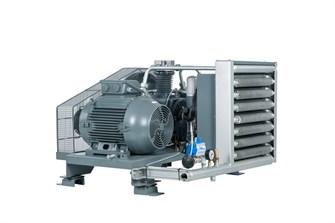 Поршневой дожимной компрессор DALGAKIRAN DBK 30 DBK 30