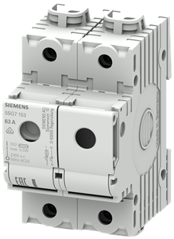 8GS40076 5SG7153