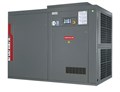 Винтовой компрессор DALGAKIRAN INVERSYS 110 PLUS INVERSYS 110 PLUS