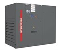 Винтовой компрессор DALGAKIRAN DVK 100D DVK 100D